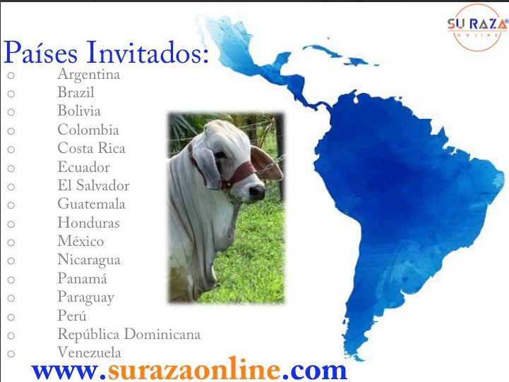 Captura de Pantalla 2020-11-12 a la(s) 11.14.25 p. m.