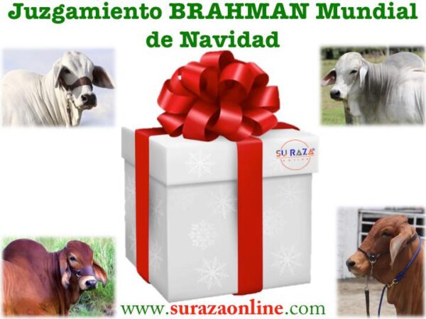 1642a0df-1886-4713-bc1f-69c8f7c672b8