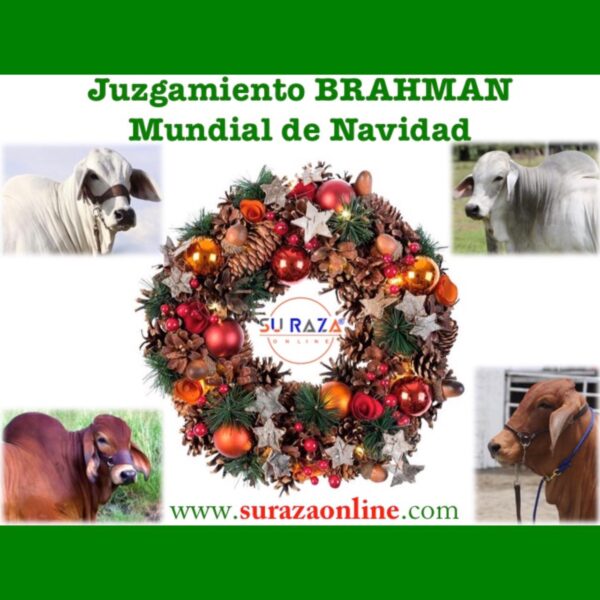 67a7787d-74c6-49c9-a0bf-67e72409ba1f